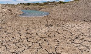 TEMA Vakfı: Toprağı İyileştirmek, Doğayı ve Geleceği Korumaktır