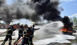 Yangınlara müdahale ekibi büyüyor