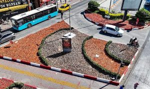 Antalya Büyükşehir Belediyesi kurakçıl peyzajda da öncü