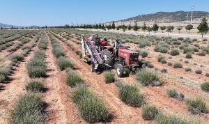 Başkan Altay: “Her Zaman Üreten, Çalışan ve Bu Ülkeye Katkı Sağlayan Üreticimizin Yanında Olacağız”