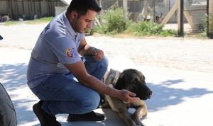 Efes Selçuk’ta “Satın Alma Sahiplen” Çağrısı