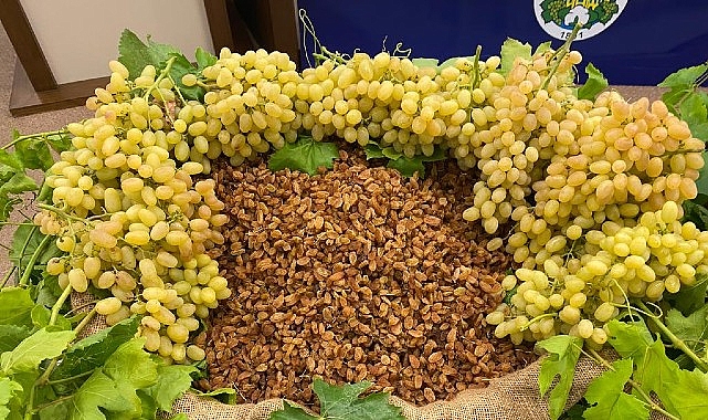 Kuru meyve sektöründe 12 ihracat şampiyonunun 11’i Egeli