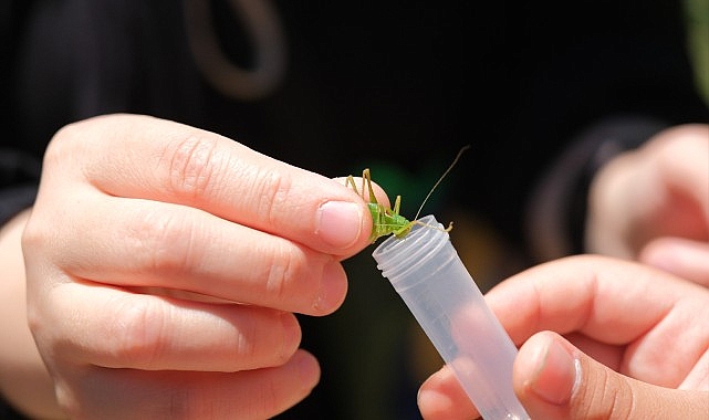 Kuzuyayla’da biyoçeşitlilik haritası çıkarıldı