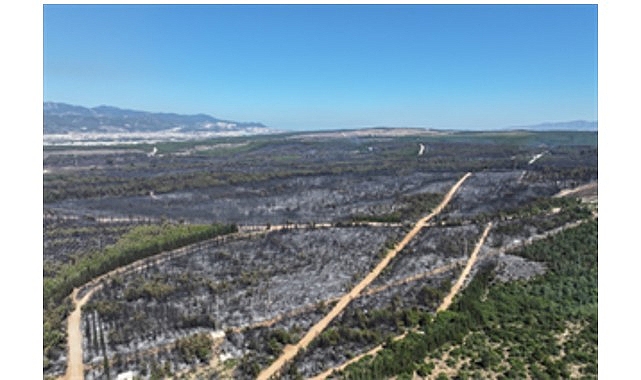 Tugay: Yangın bölgeleri için elimizden geleni yapacağız ama dayanışmaya ihtiyacımız var