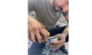 Alevlerin ortasında bir damla hayat