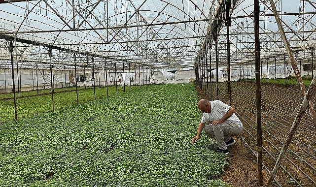 Asan Tarım’dan kuraklıkla mücadelede yerli çözüm: Damla Sulama Projesi Başladı