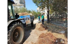 Ayvalık Belediye Başkanı Mesut Ergin; “Atmayın! Ayvalık Temiz kalsın”