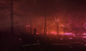 Çanakkale’ye yardıma giden İBB İtfaiyesi yoldayken Edirne Enez’deki yangına yönlendirildi