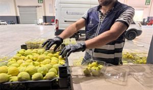 İzmir’de üreticiye ve ihtiyaç sahiplerine önemli destek