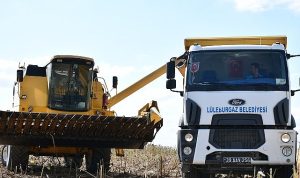 Lüleburgaz Belediyesi’nden ayçiçeği hasadı