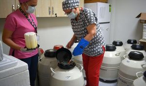 Türkiye’nin ilk Tüp Bebek Merkezinde anne baba olma hayaline bilimsel dokunuş