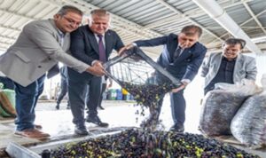 Sezonun ilk zeytinyağı Başkan Tugay’dan