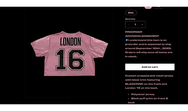 Kaspersky, BlackPink Dünya Turu Sırasında Ortaya Çıkan Sahte Ürün Dolandırıcılıklarını Tespit Etti