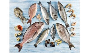 Su ürünleri ve hayvansal mamuller ihracatının yüzde 47’si Ege Bölgesi’nden yapıldı