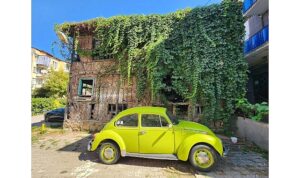 Tarihi Yapı Kütüphane Oluyor: Gölcük Belediyesi’nden Örnek Proje