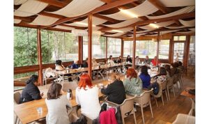 Ayvalık Belediye Başkanı Mesut Ergin: “Kentimizin geleceğini kadınlarla birlikte şekillendiriyoruz”