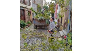 Ayvalık’ta Kışa Hazırlık…