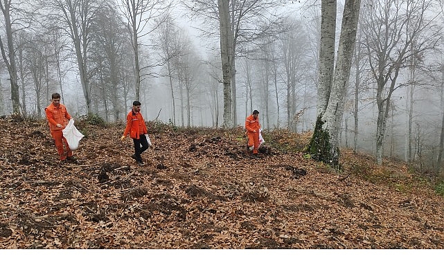 Harmancık’ta yanan ormanlara tohumlar serpiliyor