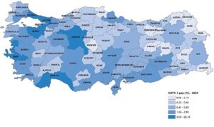 İl Bazında Gayrisafi Yurt İçi Hasıla, 2024
