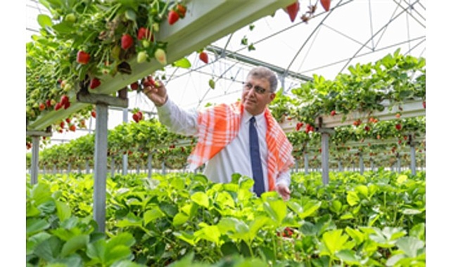 İzmir Büyükşehir Belediyesi üreticiye desteğini sürdürdü
