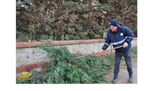 Kartepe’de Mezarlıklara Düzenli Bakım