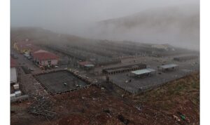 Sokak Hayvanları İçin Modern, Sağlıklı ve Doğal Yaşam Projesi Başladı