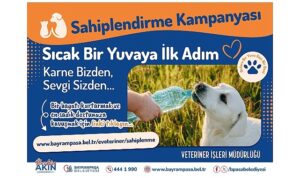 Bayrampaşa’da ‘can dostlar’ yuvalarını bekliyor
