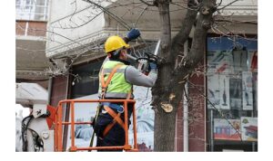 Budama Çalışmalarından Yakacak Elde Ediliyor