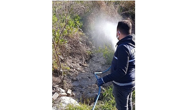 Didim’de Halk Sağlığı İçin Vektörlere Karşı Etkin Mücadele