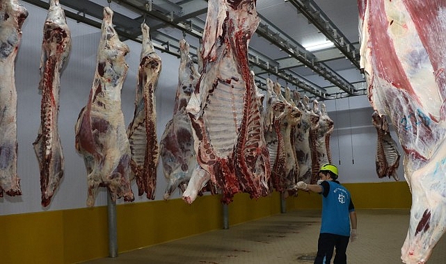 Kasapların tercihi Büyükşehir Mezbahası