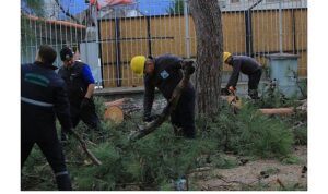 Osmangazi Belediyesi’nden Lodosa Karşı Etkin Müdahale