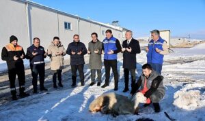 Sivas’ta Kar Yağışı İçin Şükür Kurbanı Kesildi