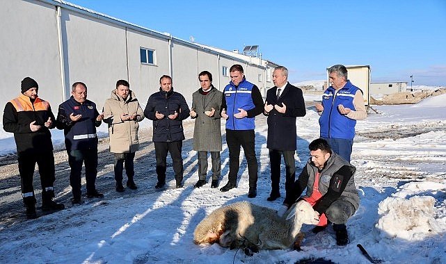 Sivas’ta Kar Yağışı İçin Şükür Kurbanı Kesildi