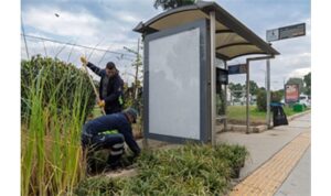 Yeşil duraklarla kente nefes