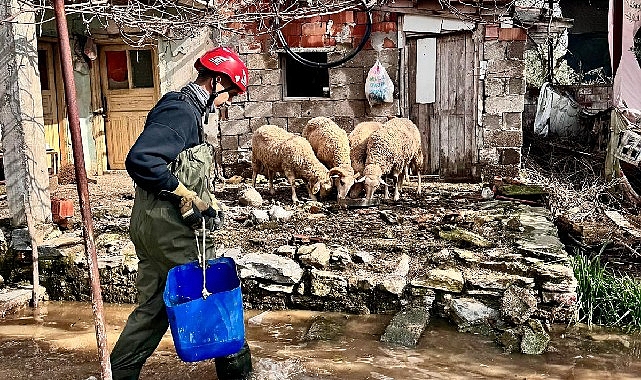Büyükşehir ekipleri tüm canlılar için aynı özveriyle çalışıyor