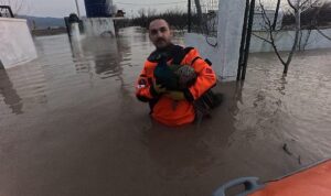 İzmir İtfaiyesi sessiz canlar için zamanla yarıştı