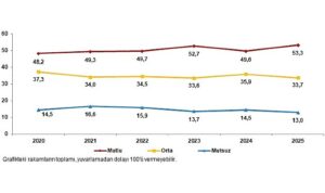 Yaşam Memnuniyeti Araştırması, 2025
