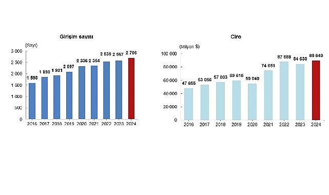 Yurt Dışında Kontrol Edilen Girişim İstatistikleri, 2024