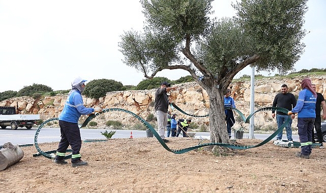 Didim Belediyesi, Didim’e Çıkan Yolları Daha Da Güzelleştiriyor