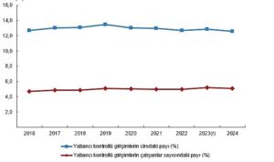 Yabancı Kontrollü Girişim İstatistikleri, 2024