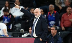 Anadolu Efes, Partizan mesaisinde